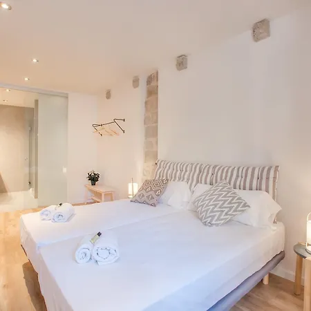 Flateli Plaça Catalunya 1-2 Apartamento Girona